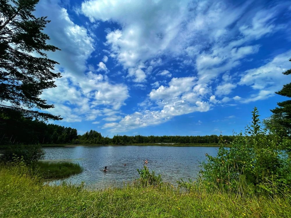 Фотография автора Nadezhda