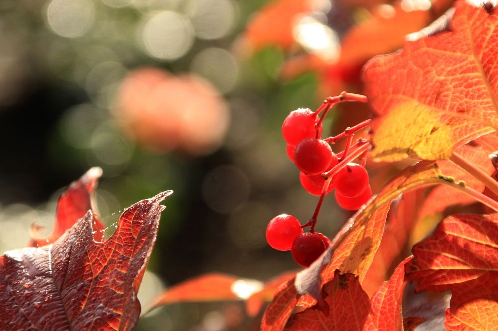 Photograph by Илья Беликов