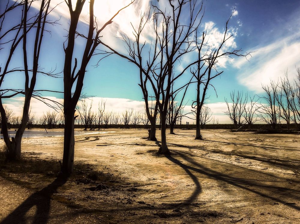 Photograph by Viviana García