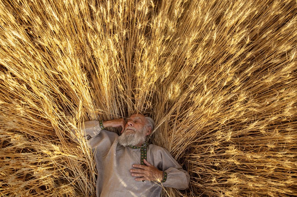 Photograph by Ольга Папина