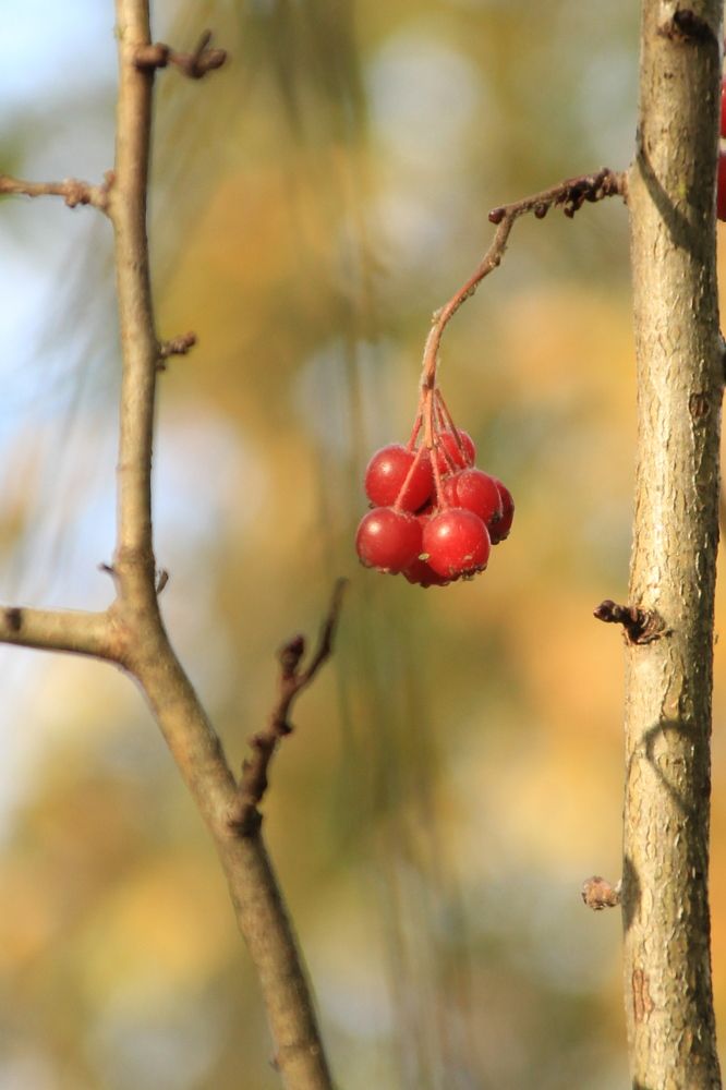 Photograph by Илья Беликов