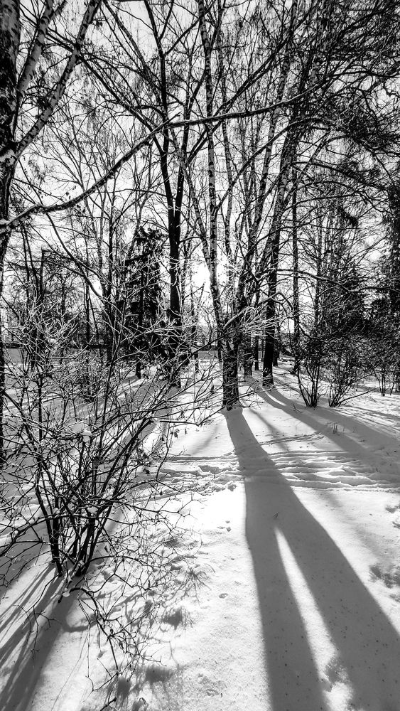 Фотография автора Ольга Неуймина