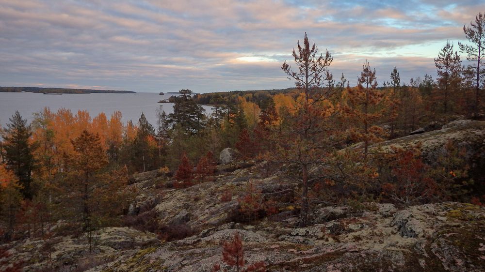 Фотография автора Boris Yakovlev