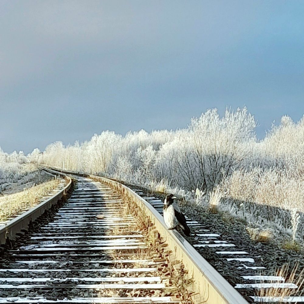 Photograph by Соколова Елена