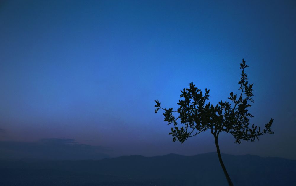 Photograph by Vahe Bazikyan