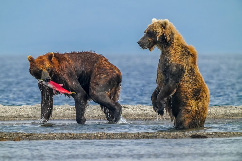 Photograph by Илья Труханов