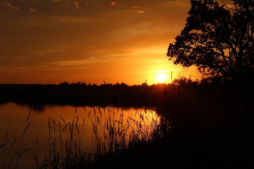 Photograph by Елена Савицкая