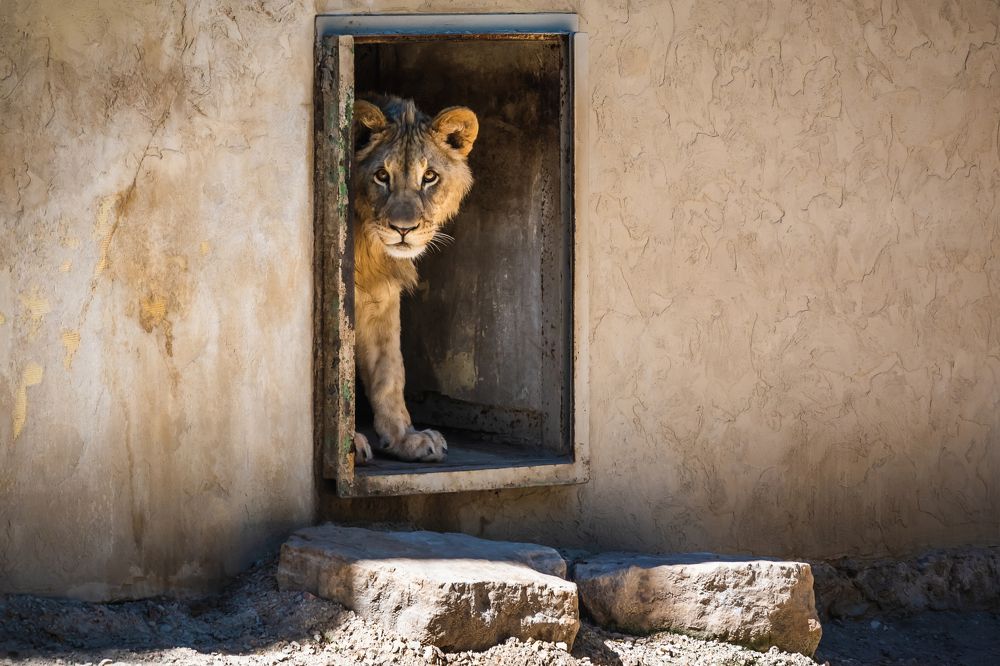 Photograph by Ivars Andrups