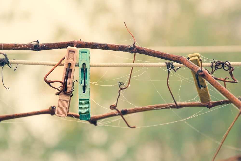 Photograph by Роман Рыбочкин