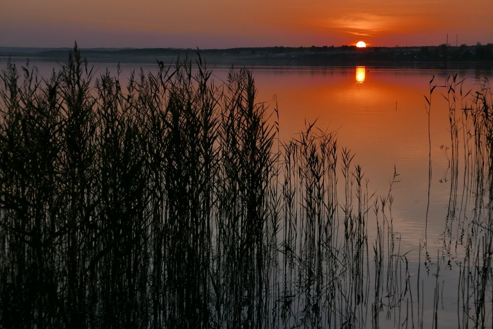 Photograph by Юрий Сычев