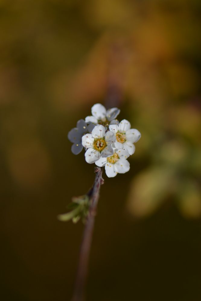 Photograph by Aleksey