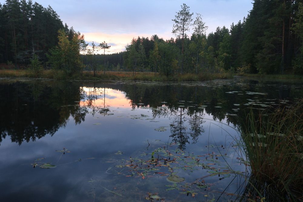 Photograph by Ольга Одаренко