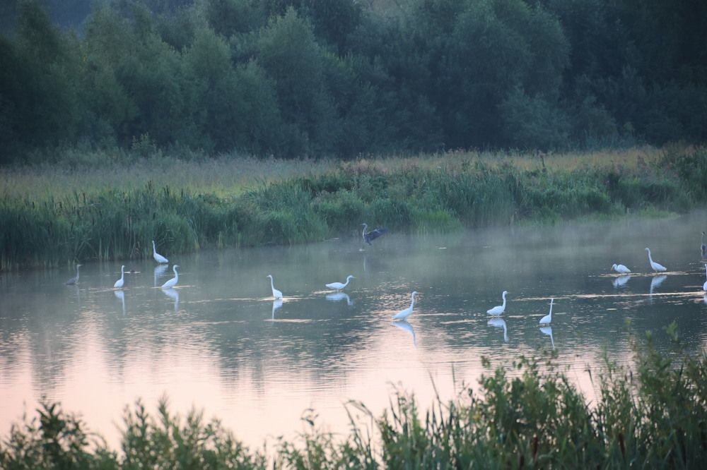 Photograph by Ольга Одаренко