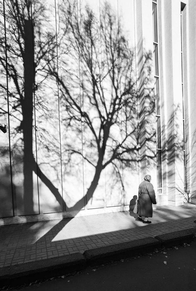 Photograph by Евгения Цой