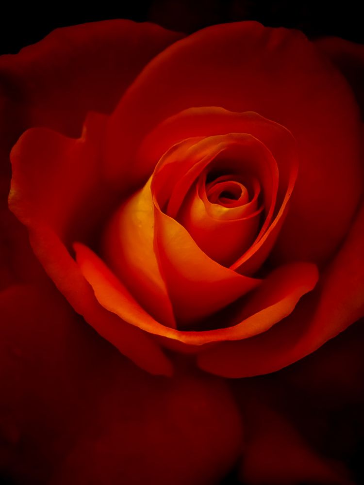 Photograph by Лариса Когтева