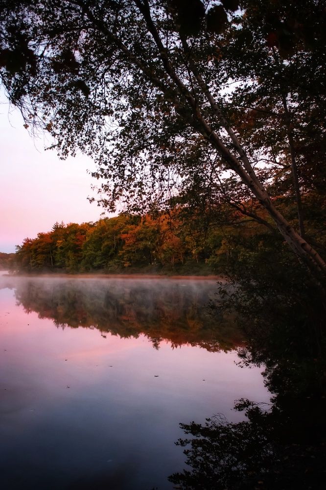 Photograph by Cindy Flick