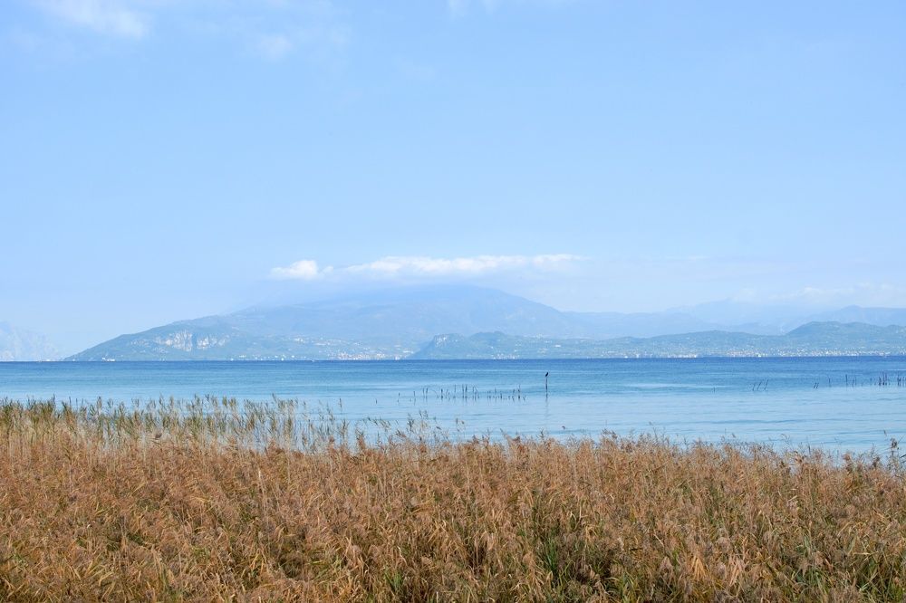 Photograph by SIMONE CIULLI