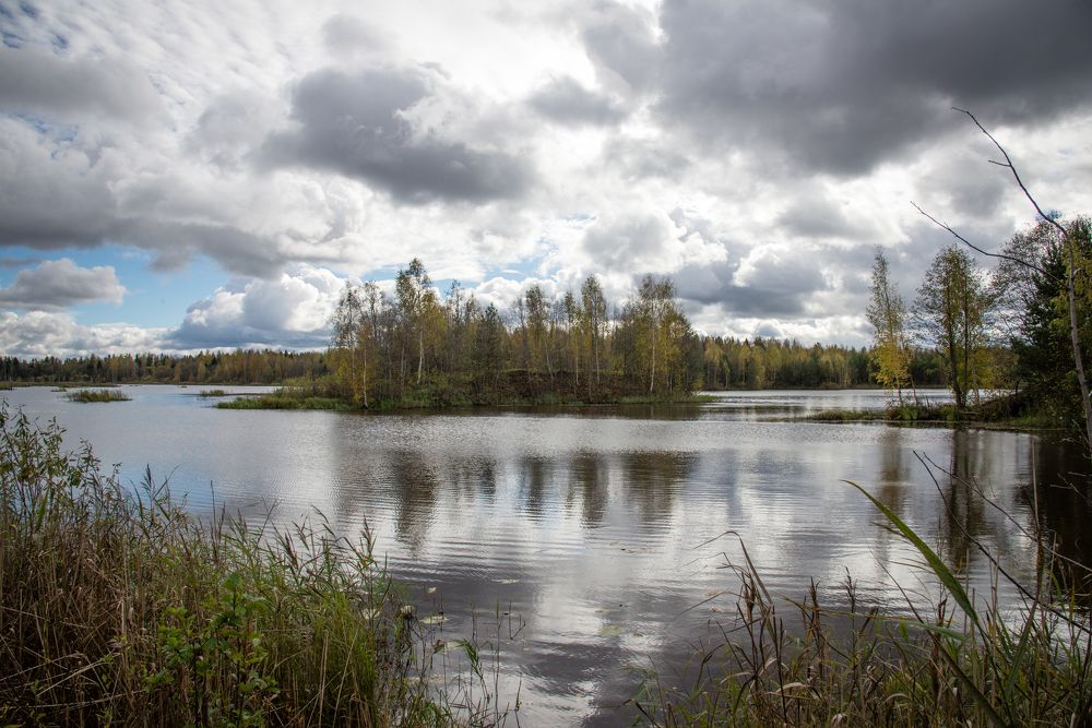 Photograph by Александр Беляков