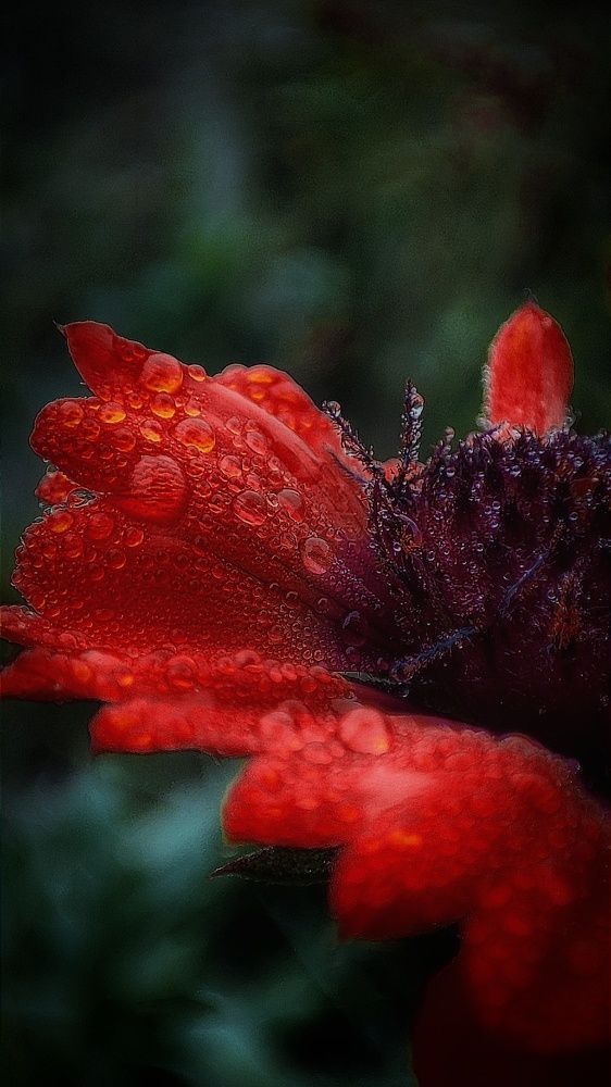 Photograph by Konstantin Martynov