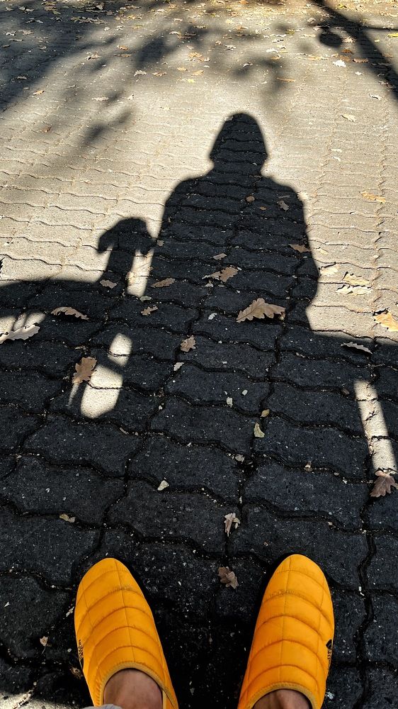 Фотография автора Владимир Эделев