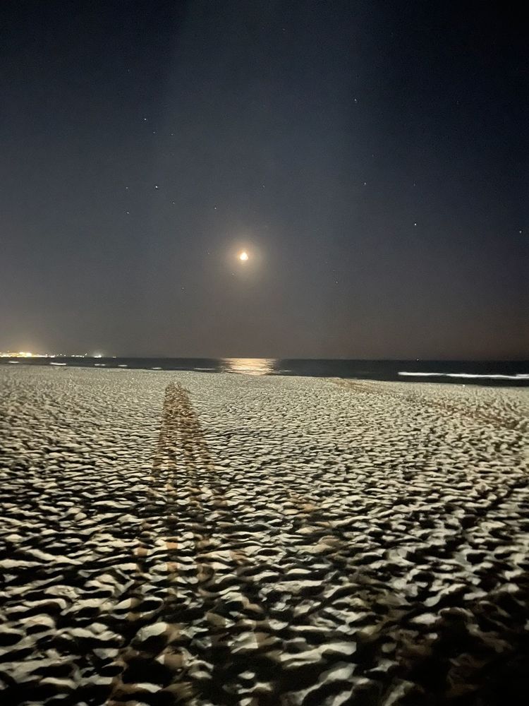 Photograph by Suzana Cakciri