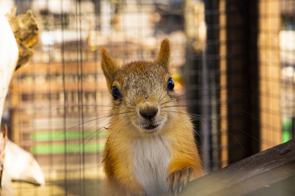 Photograph by Павел Минкевич