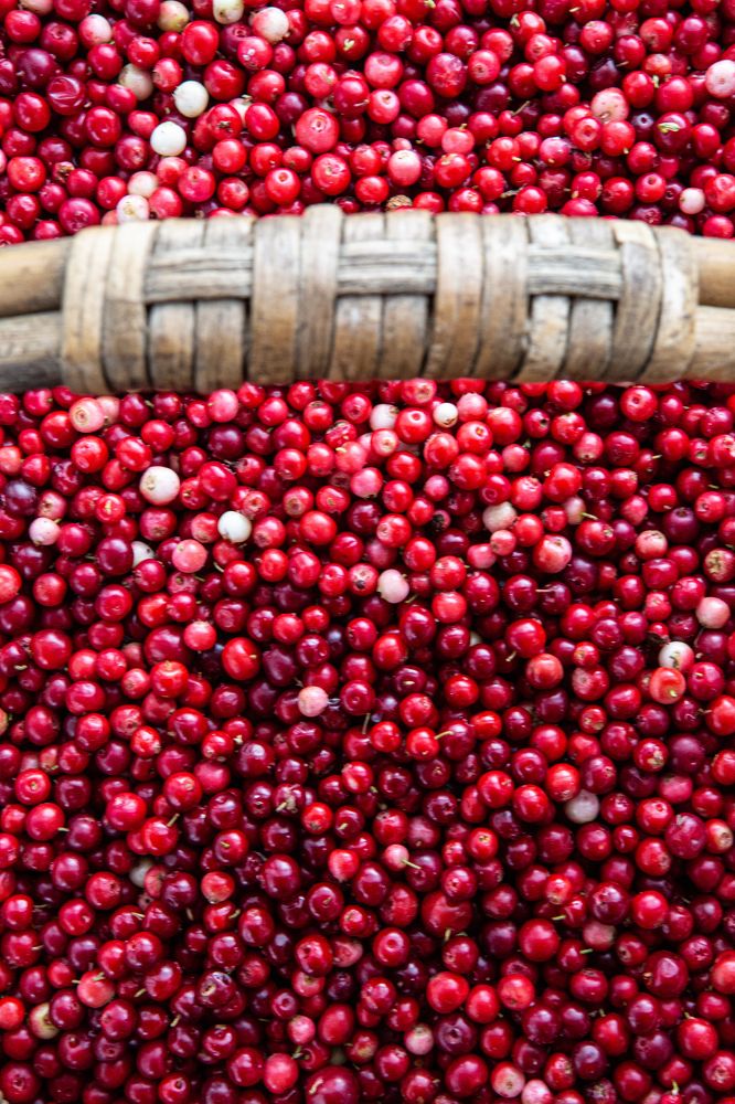 Фотография автора Алексей Новиков