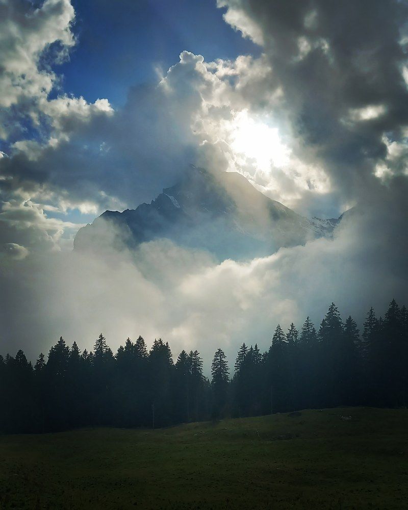 Фотография автора Elena Burgstaller