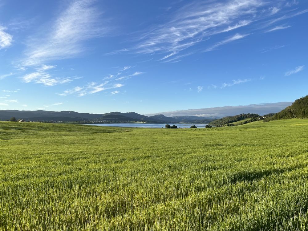 Photograph by Александра