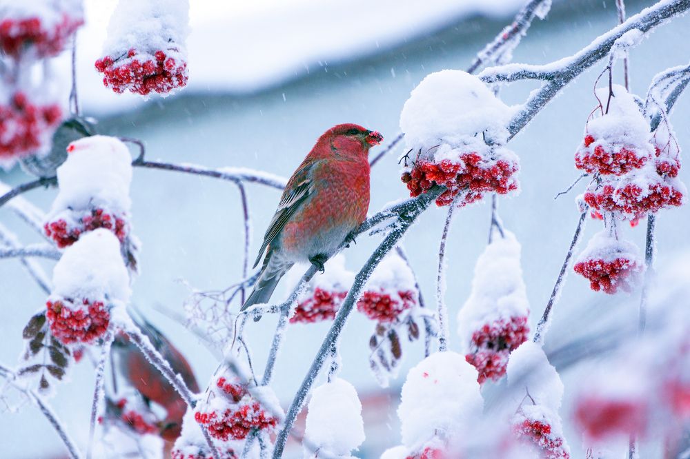 Photograph by Александр Кузнецов