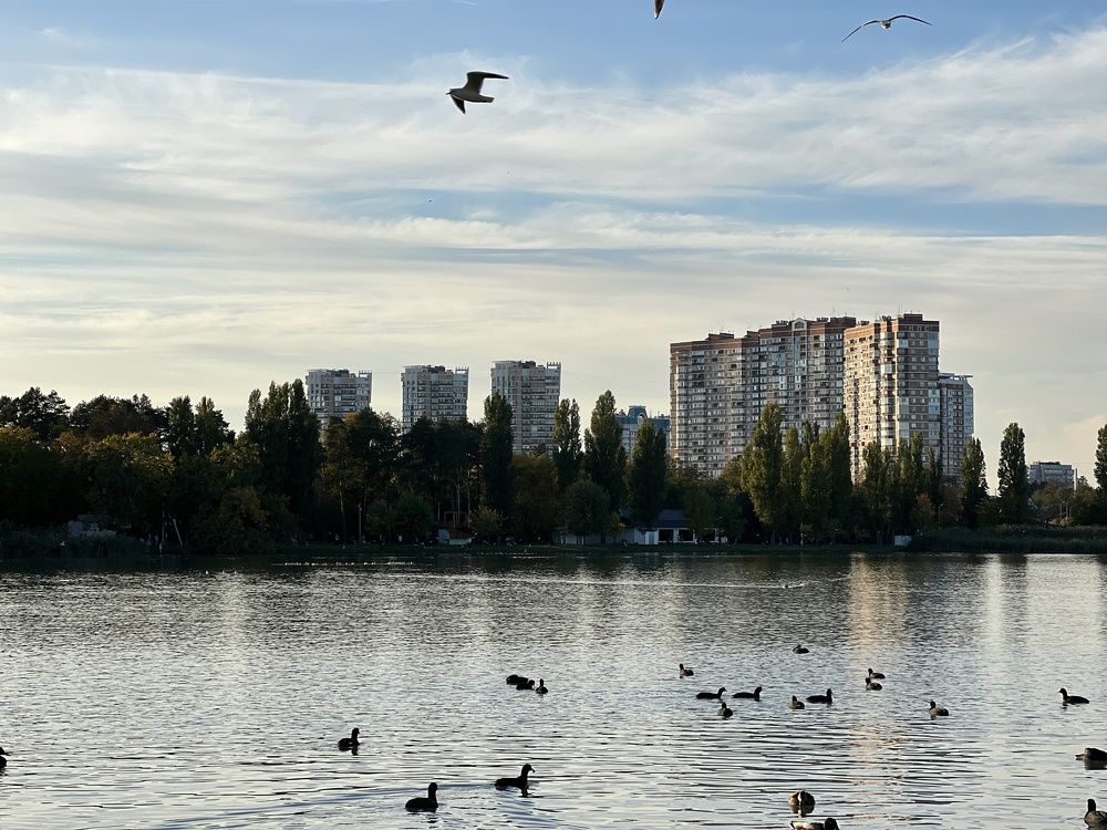 Photograph by Oksana lukyanova