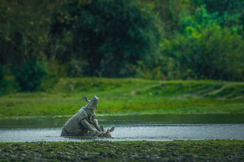 Photograph by Susavan Aditya