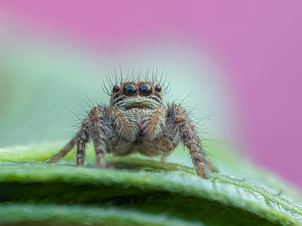 Photograph by Md Raihan