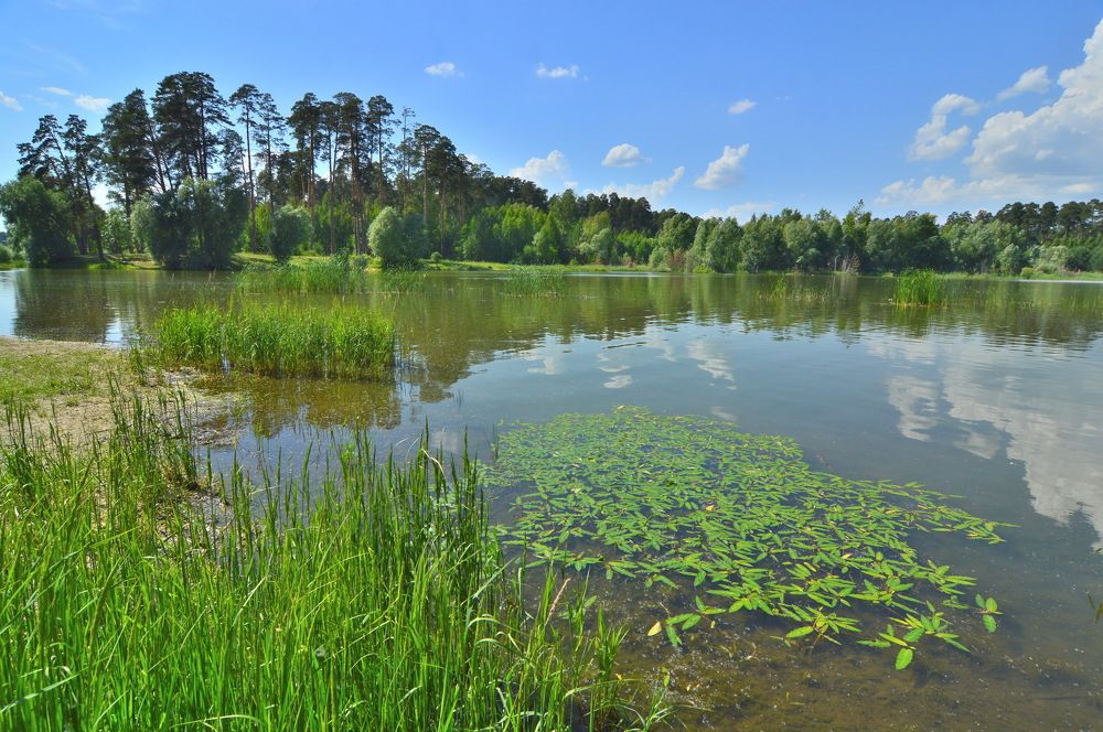Фотография автора Клавдия Васильева