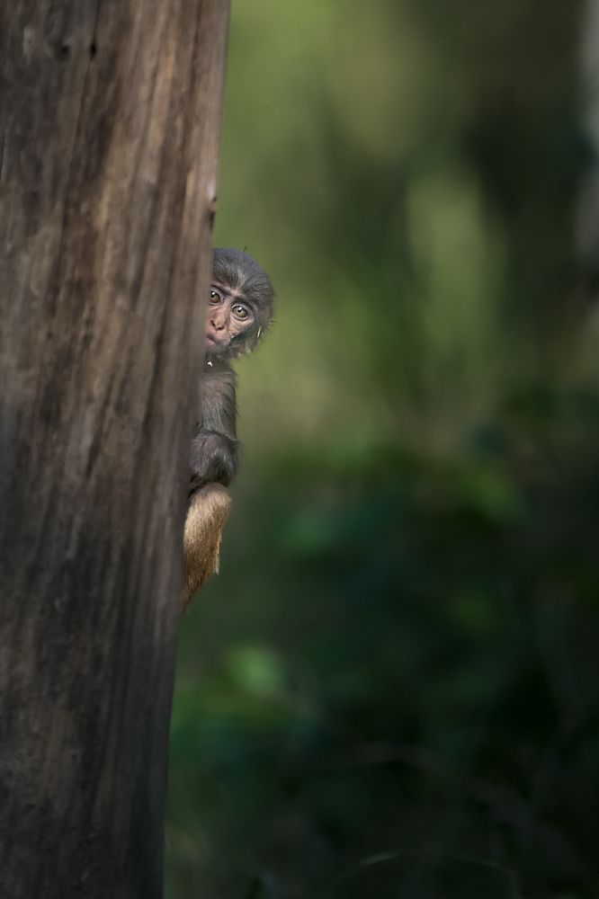 Photograph by Susavan Aditya