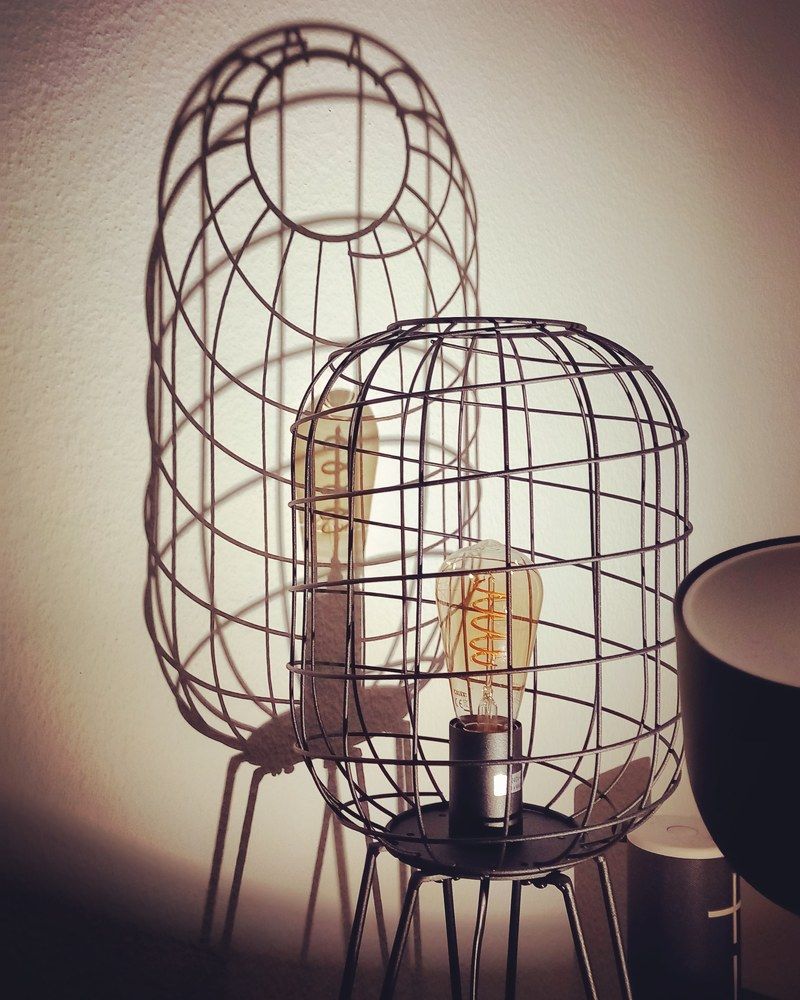 Фотография автора Elena Burgstaller