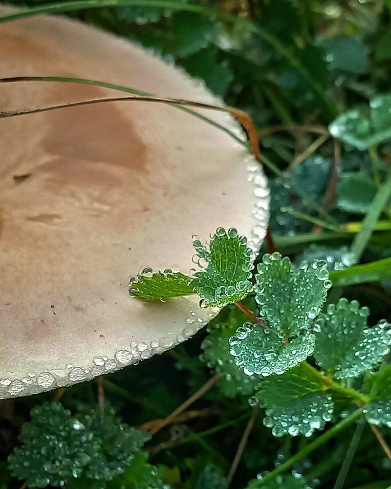 Фотография автора Elena Burgstaller