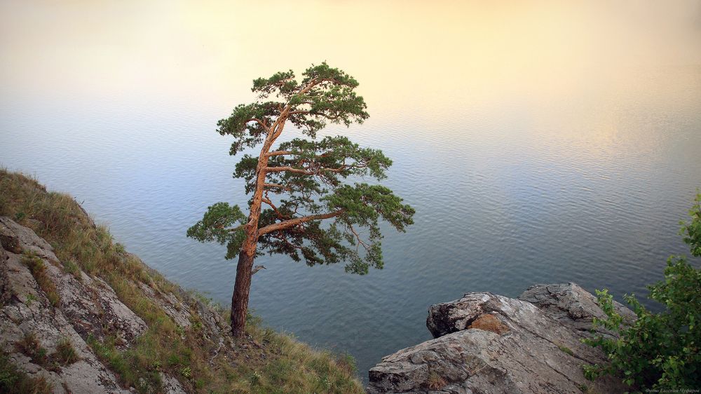 Фотография автора Евгений Чуфаров