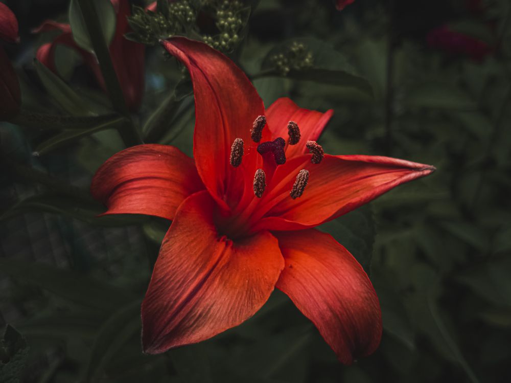 Photograph by Александр Безуглый