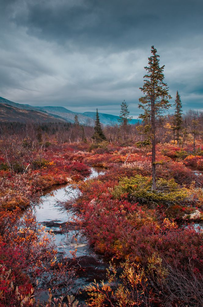 Фотография автора Алексей Новиков