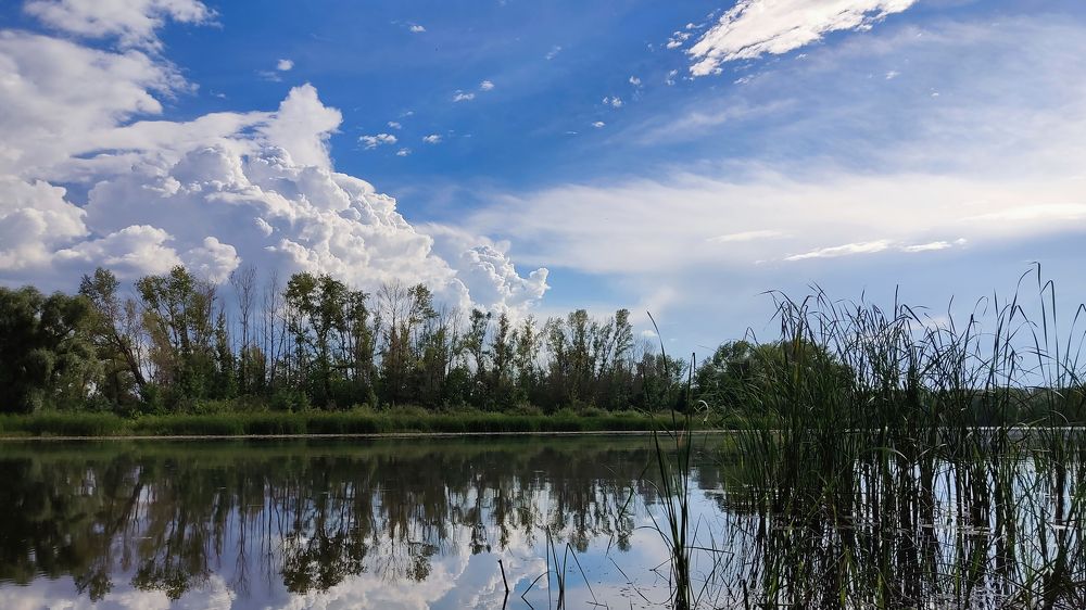 Photograph by Алексей