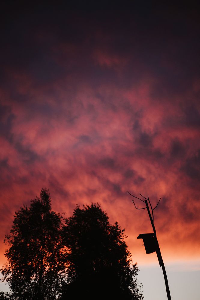 Фотография автора Анна Беляева