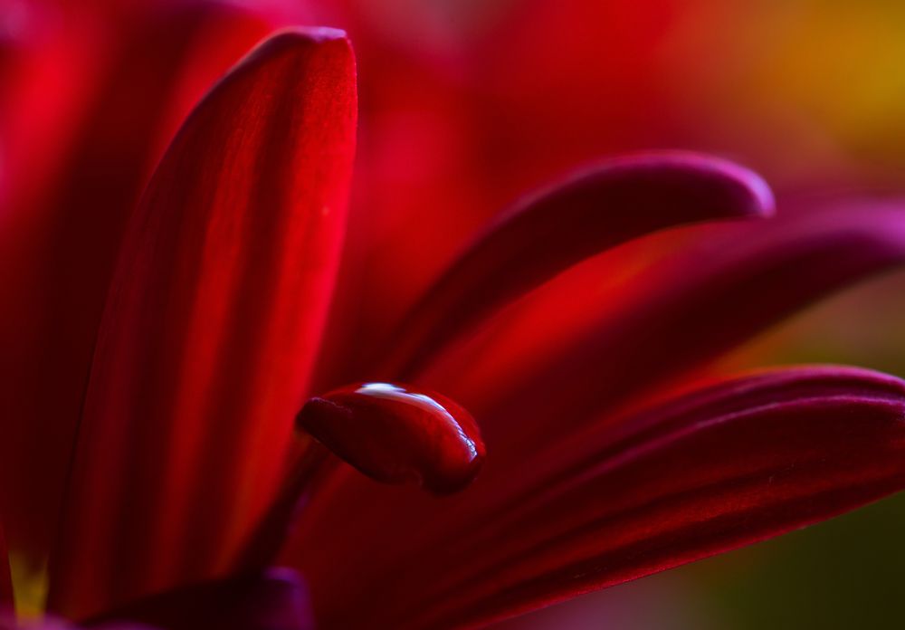 Photograph by Виктория Солодар