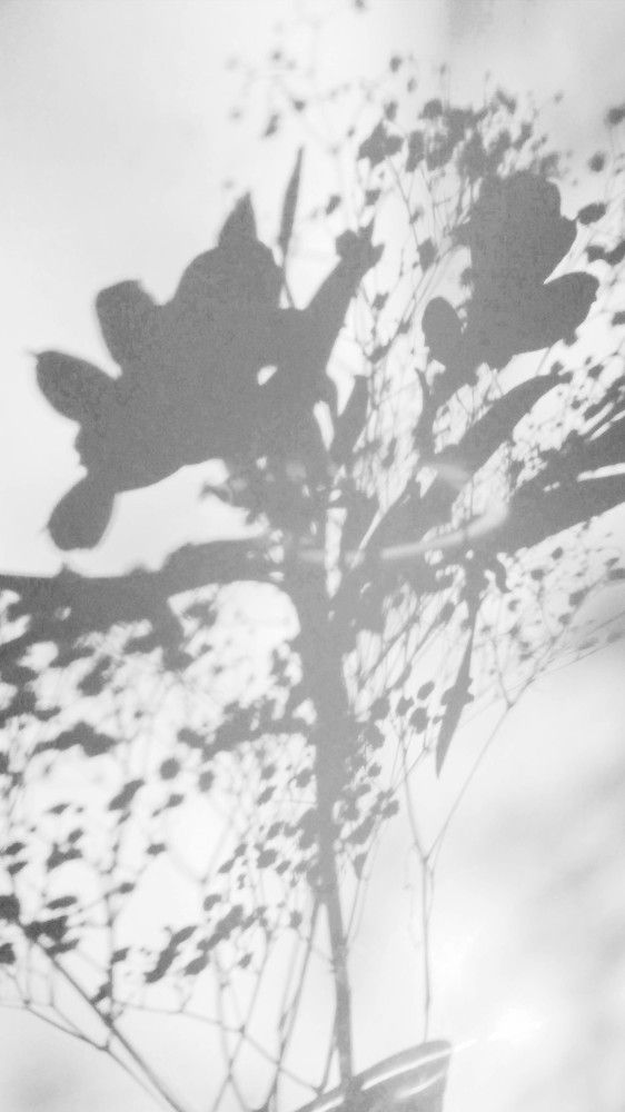 Photograph by Ирина Алпацкая