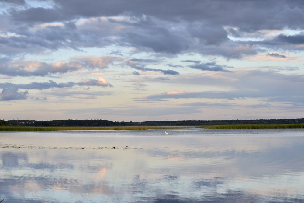 Photograph by Александра