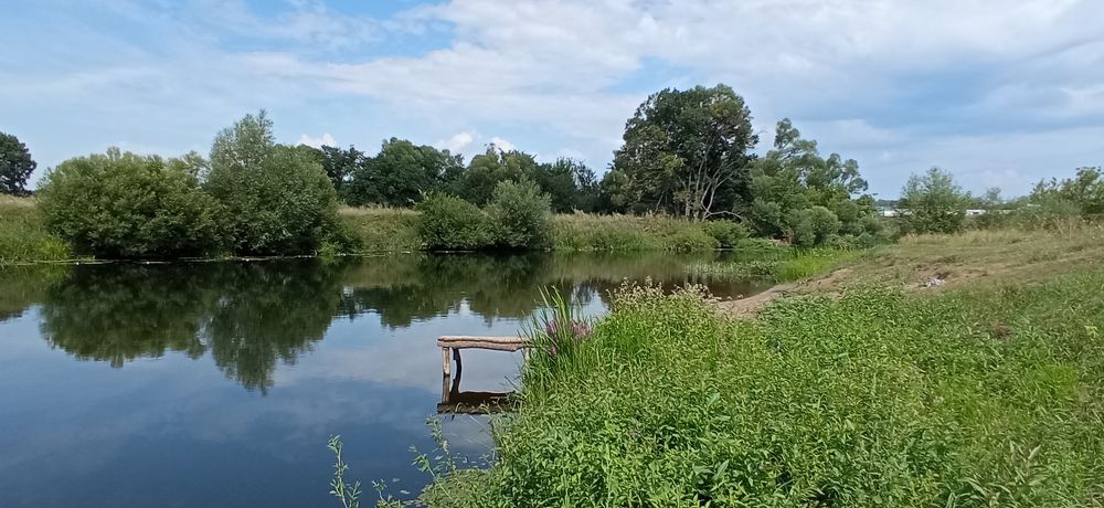 Фотография автора Юлия Нижура