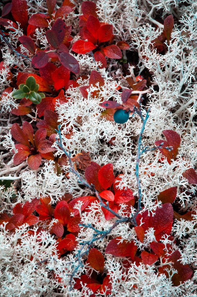 Фотография автора Алексей Новиков