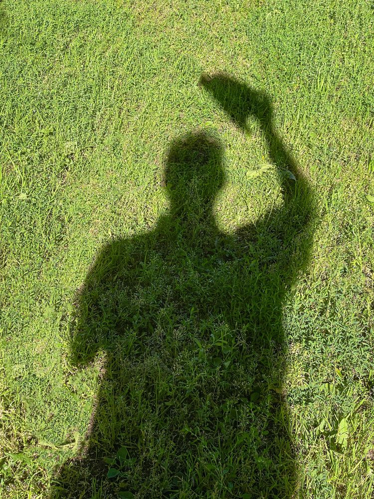 Photograph by Михаил Гордий