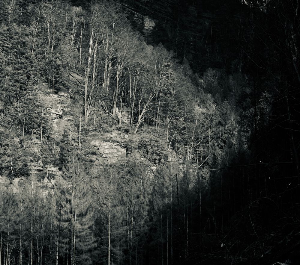 Photograph by Vladimir
