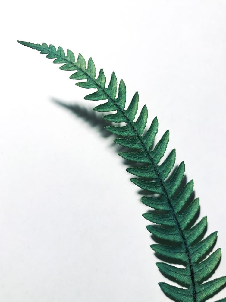 Photograph by Юлия Панюшкина